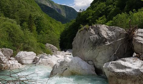 Na Bovškem iz Koritnice rešili 30-letnega avstrijskega kajakaša